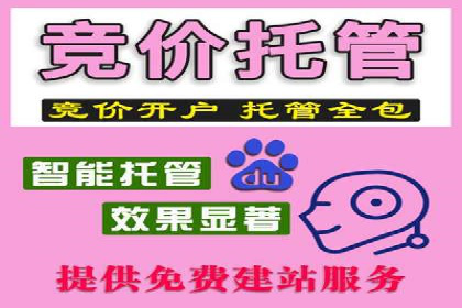 百度优化推广案例剖析：某电商平台的成功之路